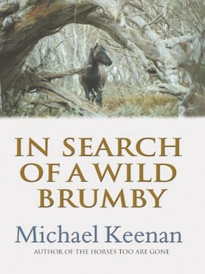 In Search of a Wild Brumby - ebook